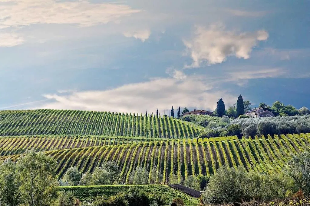 Appartamento Bellavista Terricciola Italy