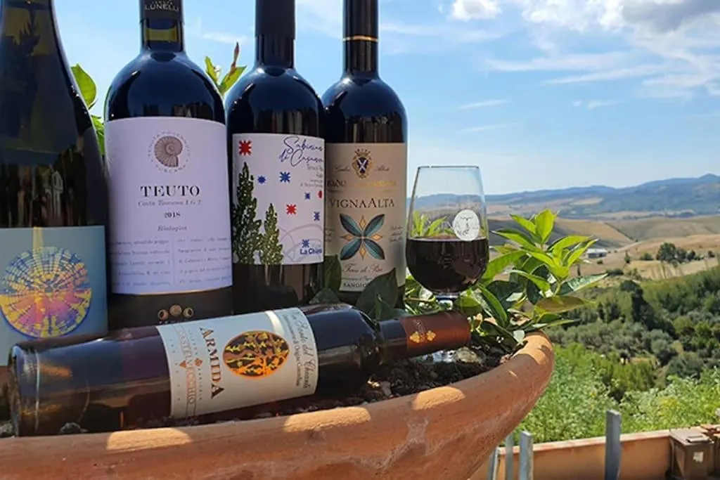 Appartamento Bellavista Terricciola 0*,  Italy